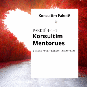 1 Konsultim Mentorues: Paketa Gjithëpërfshirëse 4+1+1