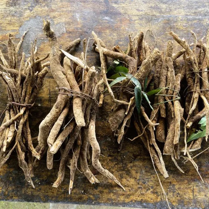 uchu-sanango-root-bundle-banner